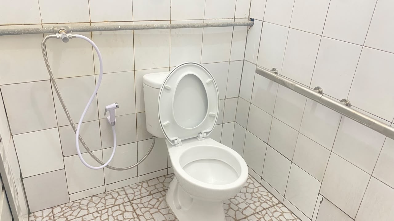 Toilet Khusus Disabilitas